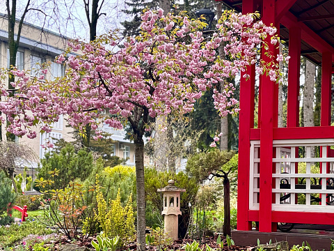 Санаторий «Металлург» г. Ессентуки. Территория